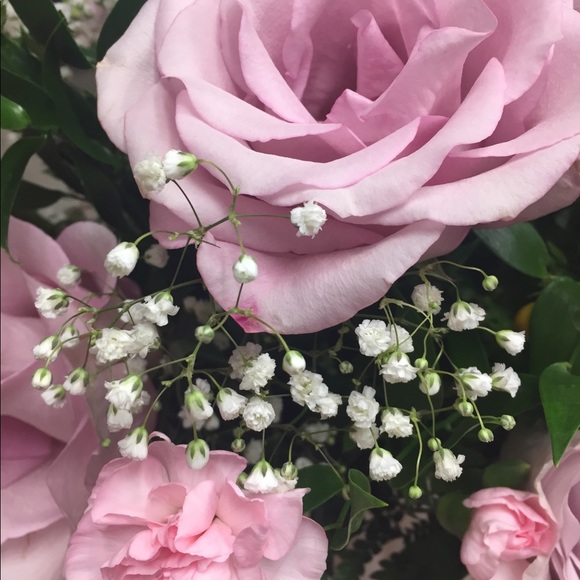 Meet your Posher, Shawnee - Picture 1 of 1